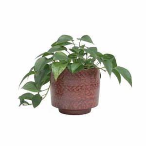 Keramický ručne vyrobený obal na kvetináč ø 24 cm Minerva – Artevasi vyobraziť
