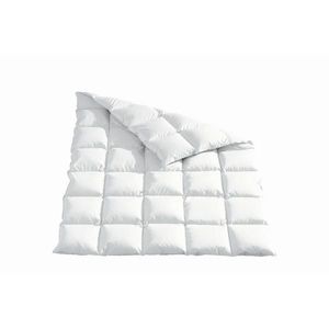 Sleeptex CELOROČNÁ PRIKRÝVKA, 220/240 cm, kačacie páperie, kačacie perie vyobraziť