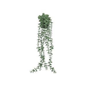 LIVARNO® Umelá rastlina (eukalyptus) vyobraziť