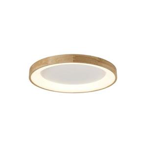 Azzardo - LED stropné svietidlo SILVAM LED/50W/230V vyobraziť