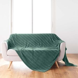 Zelený pléd z mikroflanelu 180x220 cm Arya – douceur d'intérieur vyobraziť
