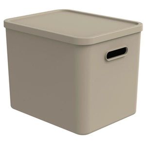 Rotho ÚLOŽNÝ BOX, plast vyobraziť