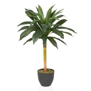 MID.YOU UMELÁ RASTLINA dracena vyobraziť