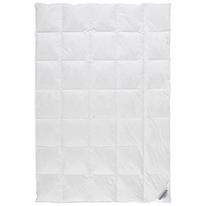 Sleeptex CELOROČNÁ PRIKRÝVKA, 155/220 cm, kačacie páperie, kačacie perie vyobraziť