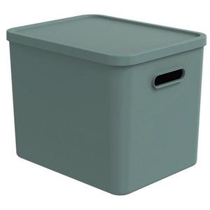Rotho ÚLOŽNÝ BOX, plast vyobraziť