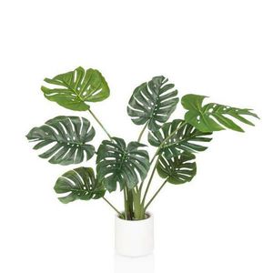 Umelá Rastlina Monstera vyobraziť