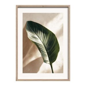Tlačený obraz s rámom 50x70 cm Strelizia Leaf – Styler vyobraziť