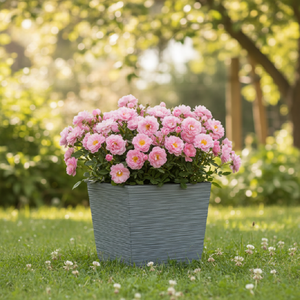ProsperPlast Kvetináč FURU SQUARE LOW | betón 30 cm vyobraziť