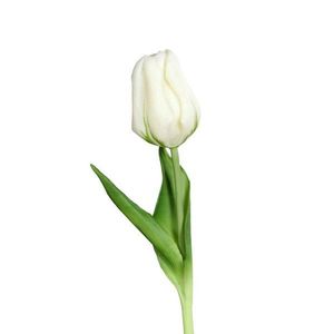 Umelý kvet (výška 20 cm) Tulip – Ego Dekor vyobraziť