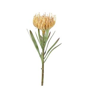 Umelý kvet (výška 43 cm) Protea – Ego Dekor vyobraziť