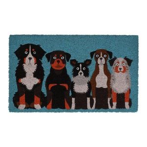 Rohožka z kokosového vlákna 45x75 cm – Esschert Design vyobraziť
