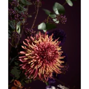 Umelý kvet (výška 91 cm) Chrysantheme – Light & Living vyobraziť