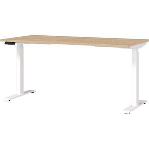 Polohovací pracovný stôl s elektricky nastaviteľnou výškou s doskou v dubovom dekore 80x160 cm Jet – Germania vyobraziť