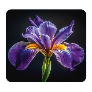Kryt na stenu pri sporáku z tvrdeného skla 50x56 cm Iris – Wenko vyobraziť