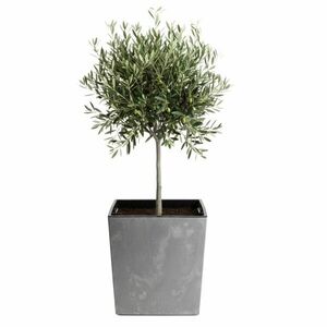 Kvetináč FLORE Betón 41x39, 5x39, 5 cm sivý vyobraziť