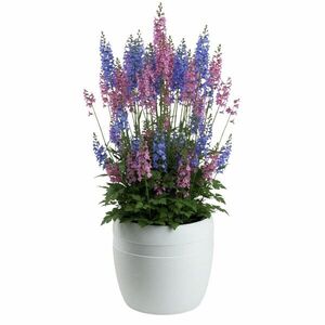 Kvetináč LUNA Classic 32, 8 cm biely vyobraziť