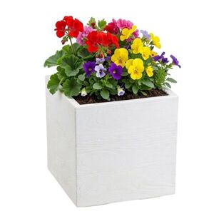 Kvetináč na kolieskach BETONIQUE 30x30 cm - výber z 4 prevedení vyobraziť