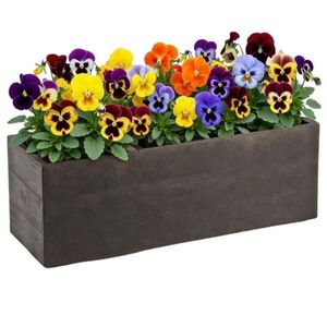Kvetináč na kolieskach BETONIQUE 90x30 cm espresso vyobraziť
