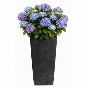 Kvetináč Porto 75x39, 6 cm čierny betón vyobraziť