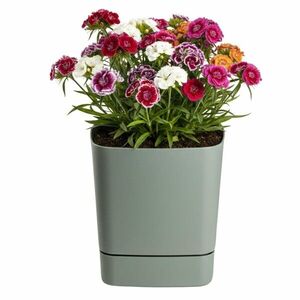 Kvetináč s podmiskou CUBI 30x30 cm sivozelený vyobraziť