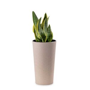 Kvetináč URBANIKA ECO Wood 36, 4x19, 6 cm biely vyobraziť
