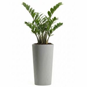 Kvetináč URBANIKA ECO Wood 36, 4x19, 6 cm sivý vyobraziť