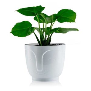 Kvetináč ZOE 16 cm biely vyobraziť