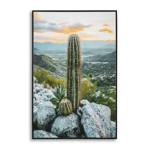 Obraz kaktus A 60x90 cm viacfarebný vyobraziť