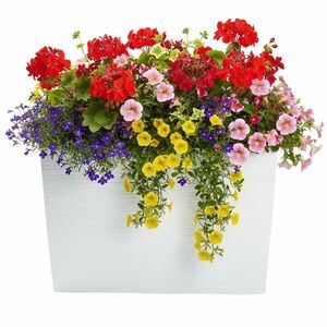 Plastový kvetináč Bloom Riflo 36, 2x56, 1 cm biely vyobraziť