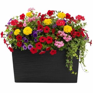 Plastový kvetináč Bloom Riflo 36, 2x56, 1 cm čierny vyobraziť