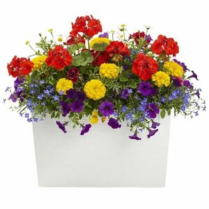Plastový kvetináč Bloom Riflo 36, 2x56, 1 cm krémový vyobraziť