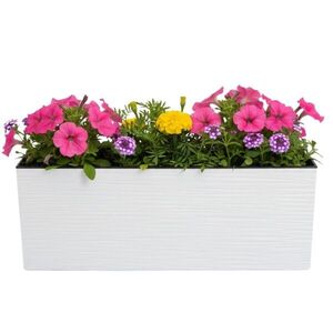 Plastový kvetináč Bouquet Riflo 56x19 cm biely vyobraziť
