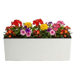 Plastový kvetináč Bouquet Riflo 56x19 cm krémový vyobraziť