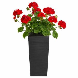 Plastový kvetináč Porto Riflo 36x19x19 cm čierny vyobraziť