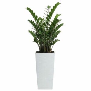 Plastový kvetináč Porto Riflo 46, 5x24, 7x24, 7 cm biely vyobraziť