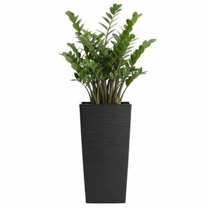 Plastový kvetináč Porto Riflo 46x25x25 cm čierny vyobraziť