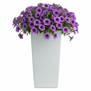 Plastový kvetináč Porto Riflo 67, 7x35x35 cm biely vyobraziť