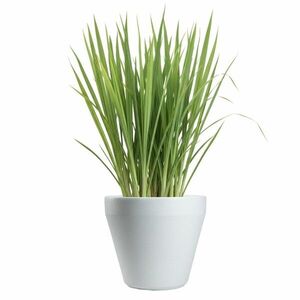 Plastový kvetináč Purea 34, 9x39, 5 cm biely vyobraziť