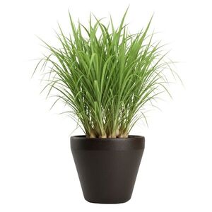 Plastový kvetináč Purea 34, 9x39, 5 cm mokka vyobraziť