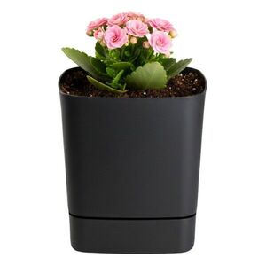 Plastový kvetináč s podmiskou Cubi 16x16 cm - výber z 6 prevedení vyobraziť