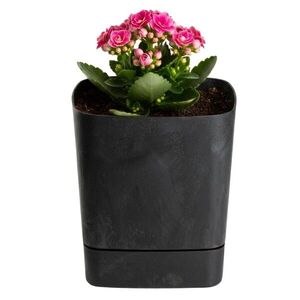 Plastový kvetináč s podmiskou Cubi 16x16 cm - výber z 6 prevedení vyobraziť