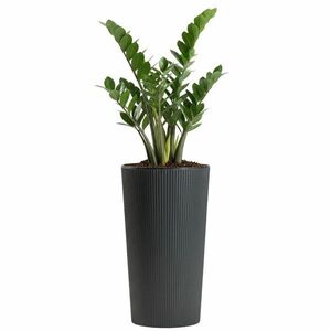 Plastový kvetináč URBANIKA ECO 46, 6x25, 5 cm antracitový vyobraziť