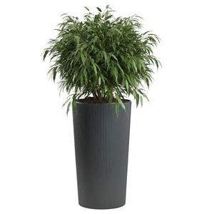 Plastový kvetináč URBANIKA ECO 75x40, 9 cm antracitový vyobraziť