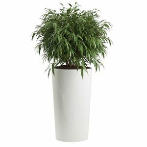 Plastový kvetináč URBANIKA ECO 75x40, 9 cm biely vyobraziť