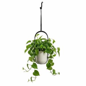 Závesný kvetináč AERA HANG 17, 9 cm béžový vyobraziť