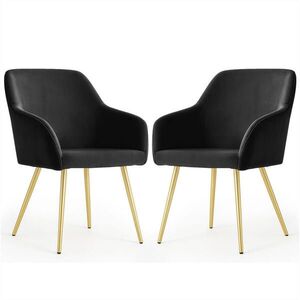 RAUMHIRSCH FURNITURE ČALÚNENÁ STOLIČKA, sada 2 ks, kovové nohy, čierna, zlatá 54, 5/83/58 vyobraziť