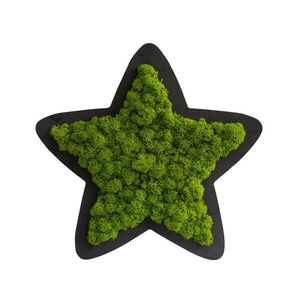 StyleGREEN MACHOVÝ OBRAZ vyobraziť