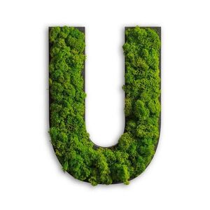 StyleGREEN MACHOVÝ OBRAZ vyobraziť