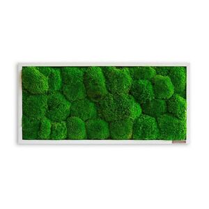 StyleGREEN MACHOVÝ OBRAZ vyobraziť