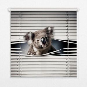 TULUP VNÚTORNÁ roleta - okenná roleta - roleta - 100x180 cm - Koala vyobraziť